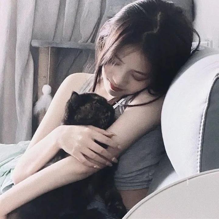皇家铁马粤语